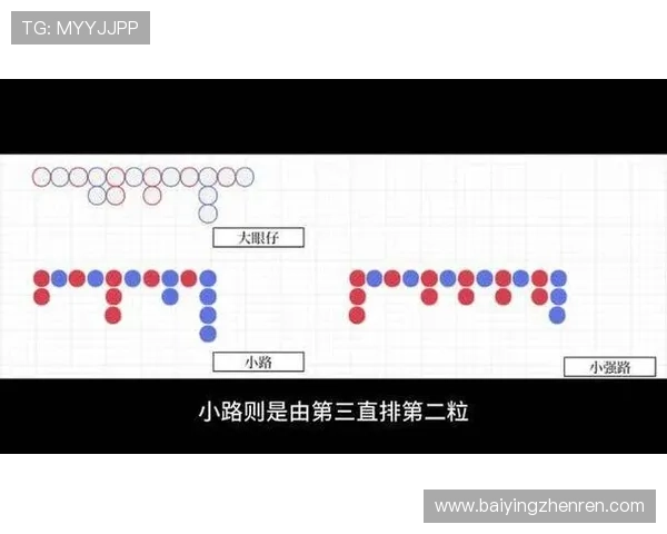 百家乐路单网页版下载与使用技巧，助你轻松掌握百家乐游戏的走势分析